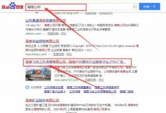 海南飛尚三樂傳媒有限公司和我公司簽訂百度快照排名項目