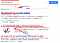 山東南洋電器有限公司與我司做網(wǎng)站建設(shè)項目