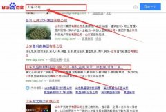 山東凱盛新材料股份有限公司跟本公司簽訂搜索引擎優化項目