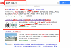 山東新高工業(yè)有限公司與海洋網絡簽署萬詞霸屏項目