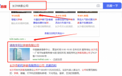 湖南*利達(dá)鐘表有限公司新站排名案例欣賞