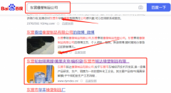 東營市*達橡塑制品有限公司SEO優(yōu)化到首頁按天扣費