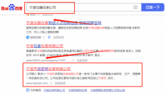 寧波市*若特儀表有限公司網站排名參考網站