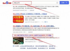 山東微山湖*花食品有限公司關鍵詞排名營銷策劃優質品牌