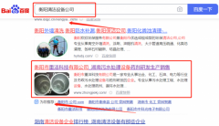 衡陽(yáng)市重*科技有限公司優(yōu)化排名案例欣賞