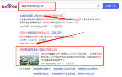銅陵兢*電子科技股份有限公司優化排名排名效果展示