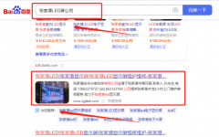 張家港*華光電科技有限公司網站SEO優化最快上詞效果展示