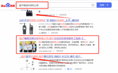臨沂臻*信息科技有限公司SEO讓網站輕松覆蓋在搜索引擎