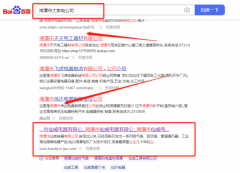 湘潭市*威電器有限公司網站SEO優化營銷+精準獲客