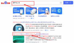 葫蘆島市華*土工材料有限公司網站優化最快上詞效果展示