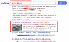 廣西南寧市*星電子衡器有限責任公司網絡營銷到首頁按天扣費