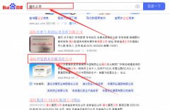 通化華*藥業有限責任公司網站優化參考網站