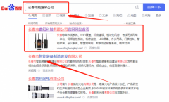 長春市*紅科技有限公司整站優(yōu)化快上詞效果展示