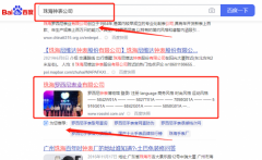 珠海羅*尼表業有限公司百度排名策劃優質品牌