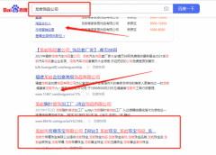 龍巖市*尊珠寶有限公司網站推廣排名案例欣賞