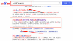 大連海*園藝有限公司網絡營銷專注一站式品牌營銷整合推廣