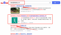 南京*渡灣建筑景觀(guān)工程有限公司整站優(yōu)化快上詞效果展示