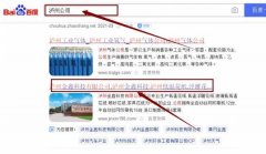 瀘州金*科技有限公司網站優化到首頁按天扣費