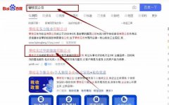 攀枝花泛*新能源有限公司網站優化到首頁無排名不收費