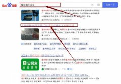 重慶市南川區晨*化工有限公司網站推廣最快上詞效果展示