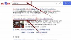 四川驚*科技股份有限公司網站優化營銷+精準獲客