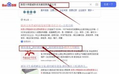 陜西大*普威科技發展有限責任公司網站優化排名效果展示