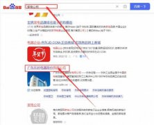 廣東樂*電器股份有限公司網站優化網絡營銷優化公司